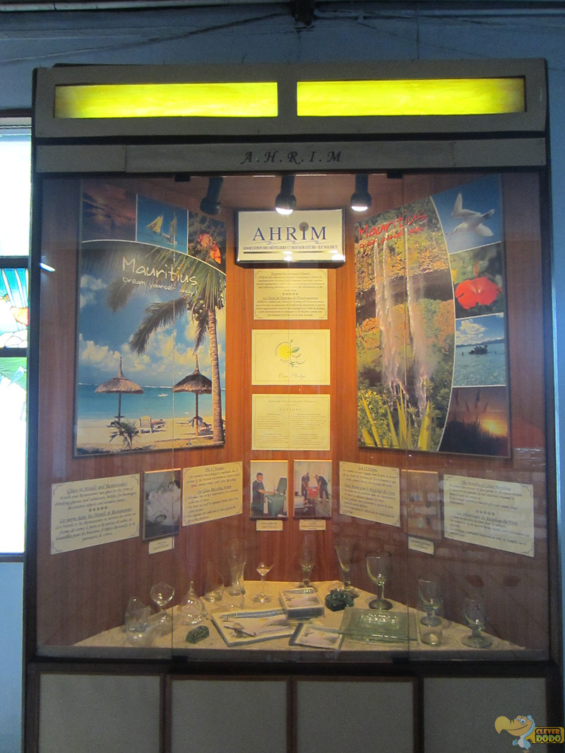 museum display
