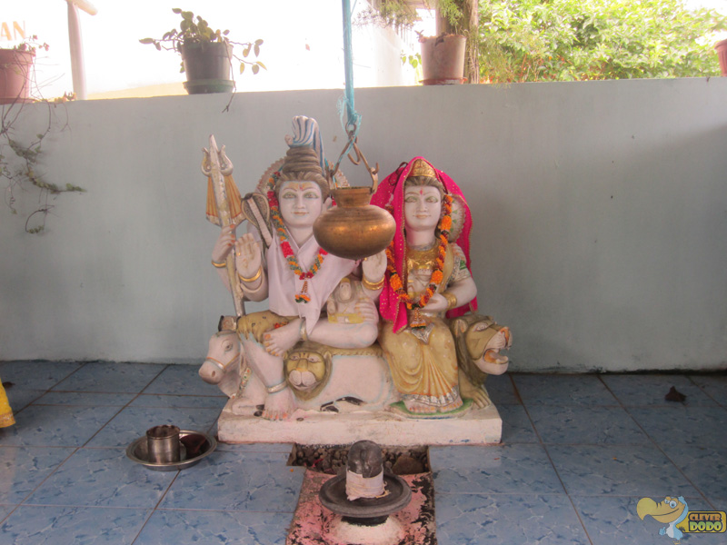 shiva idol display