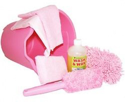 Pink Car Wash Kit