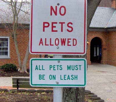 no pets allowed