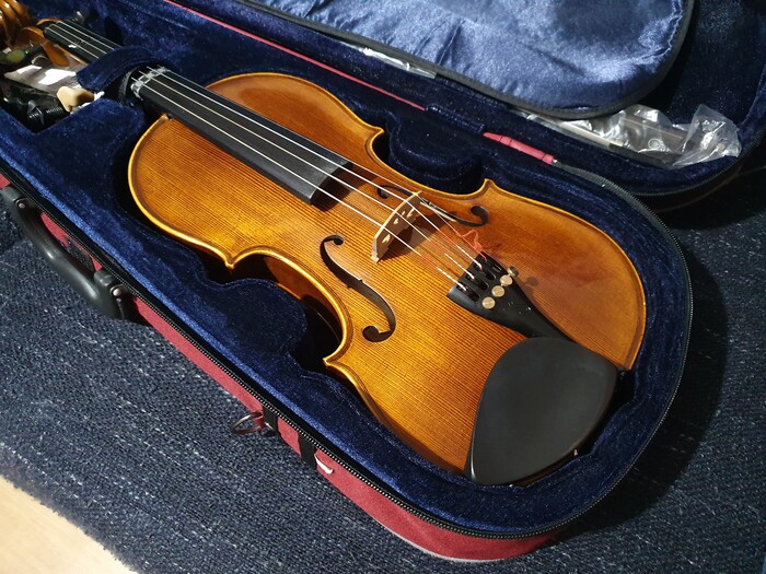 my-violin.jpg